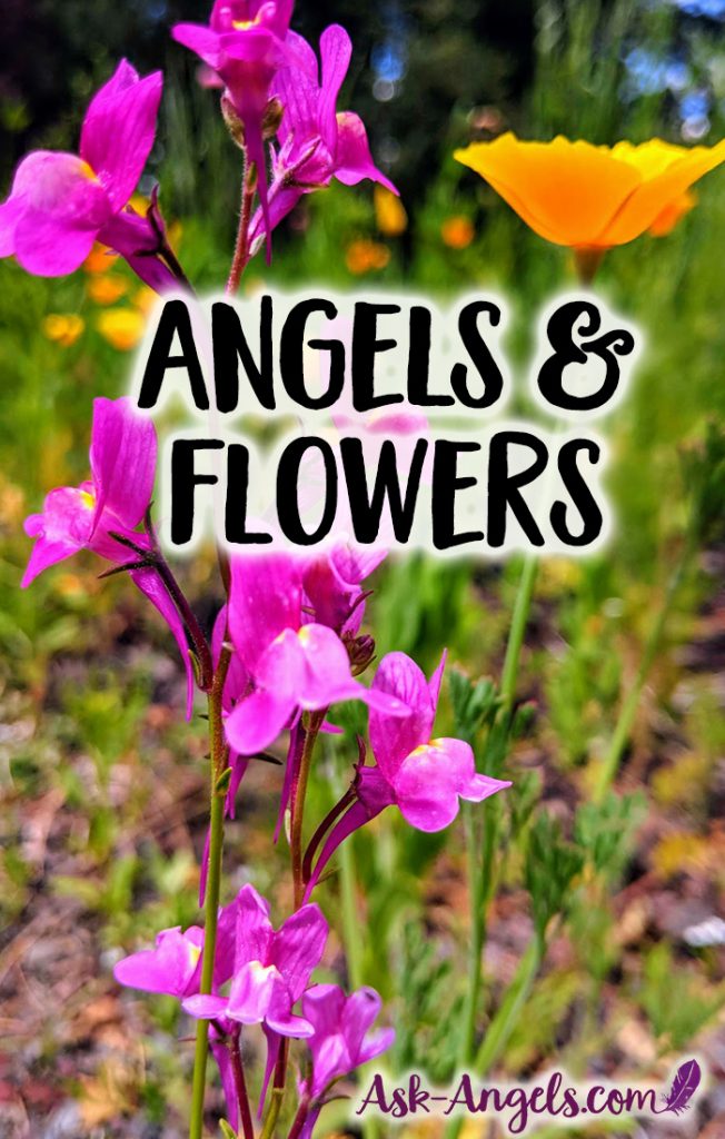 Angels and flowers really do go together hand in hand. Learn more about the angelic energy of flowers and how they can help you connect with angels!