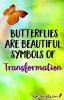 Butterfly Meaning – The Symbolism Will Surprise You