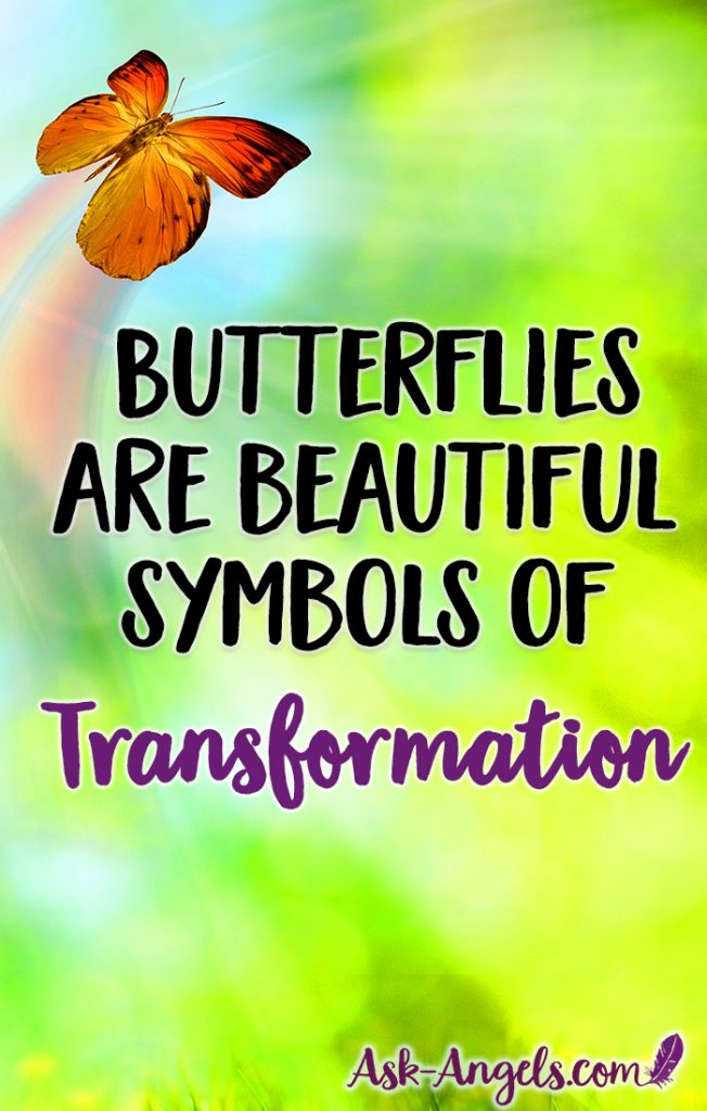 Butterfly Meaning: Understanding the Symbolism of Butterflies