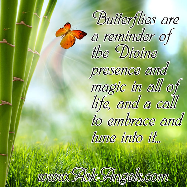 Butterfly Meaning The Symbolism Will Surprise You