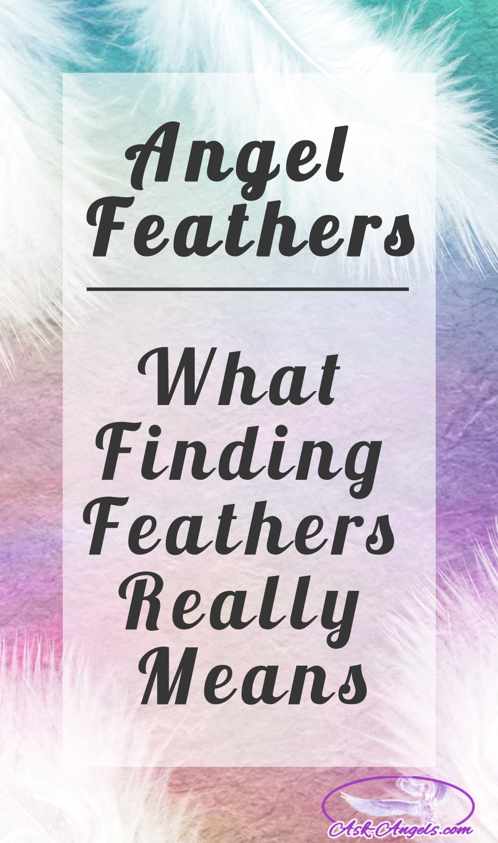 Learn Angel Feather Meanings – What Do White Feathers Mean?