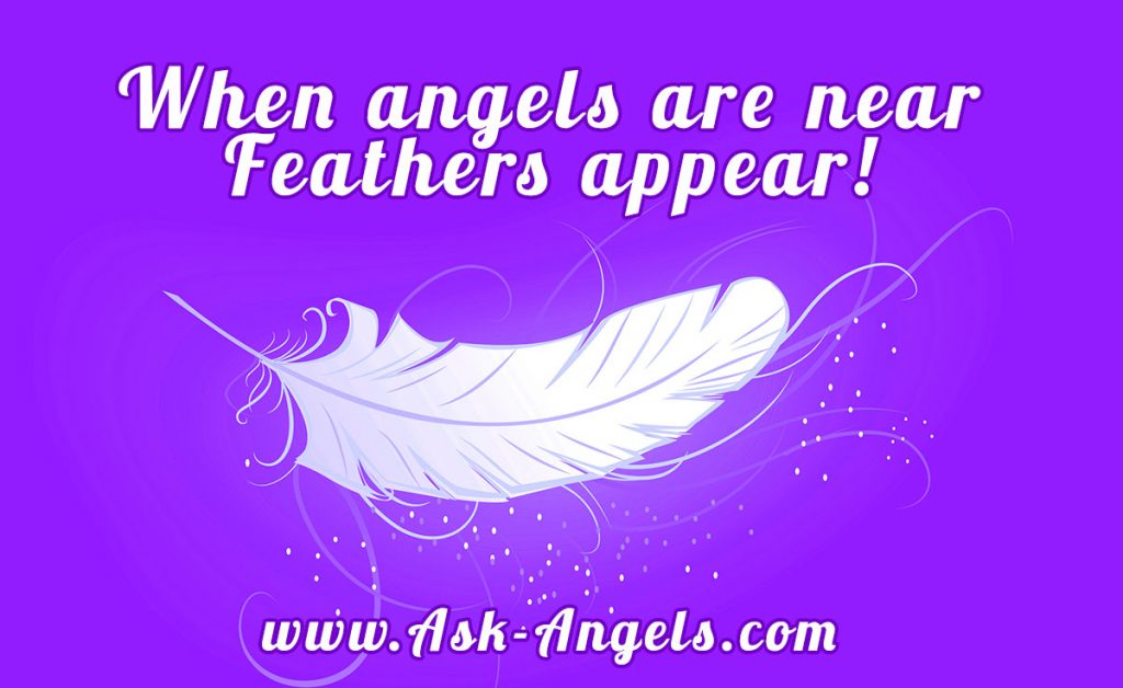 Learn Angel Feather Meanings What Do White Feathers Mean?