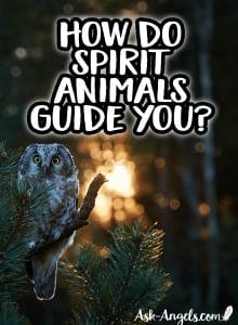 How to Find Out Your Animal Spirit Guides - Ask-Angels.com