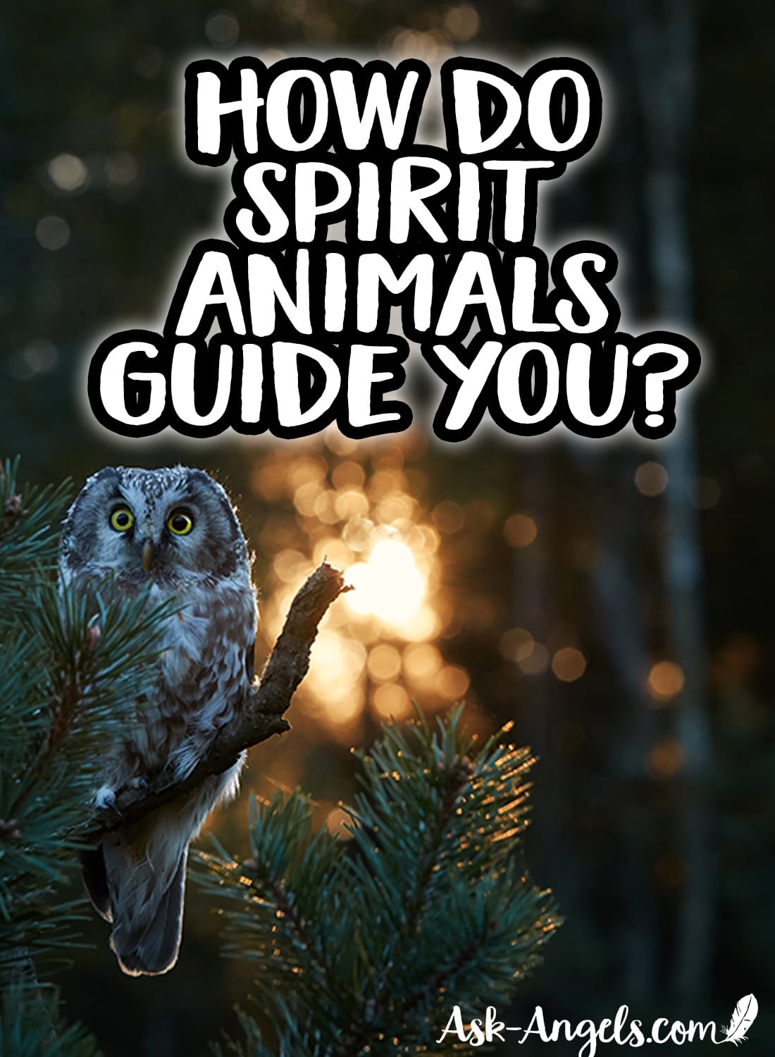 How to Find Out Your Animal Spirit Guides 