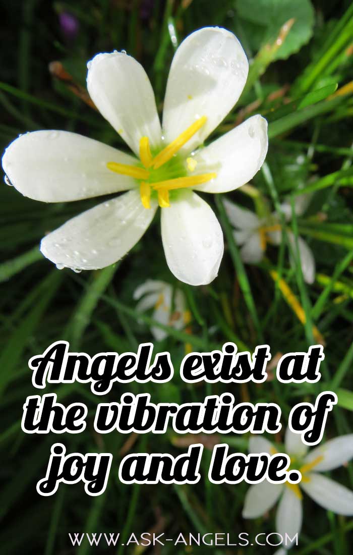 Angels Vibrate with Joy and Love