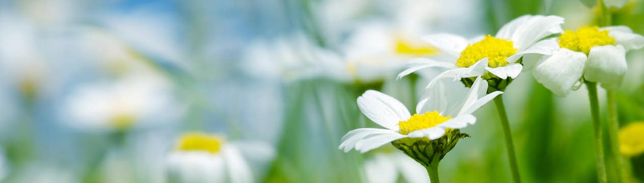 Energy Clearing Techniques With Positive Energy From Angels