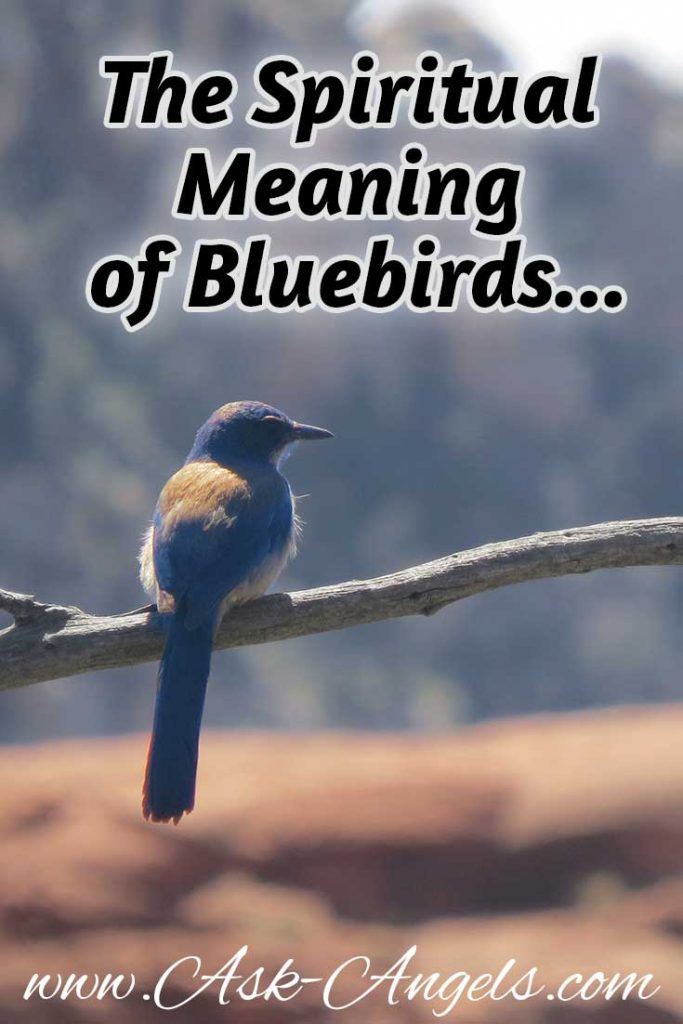 spiritual meaning of eastern bluebird