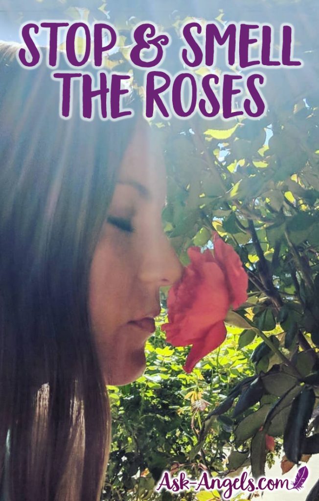 Take time to Stop and Smell the Roses! Learn the deeper meaning of spiritual significance of this quote... It's not only about flowers, but also about being fully present and tuned into love. #inspiration