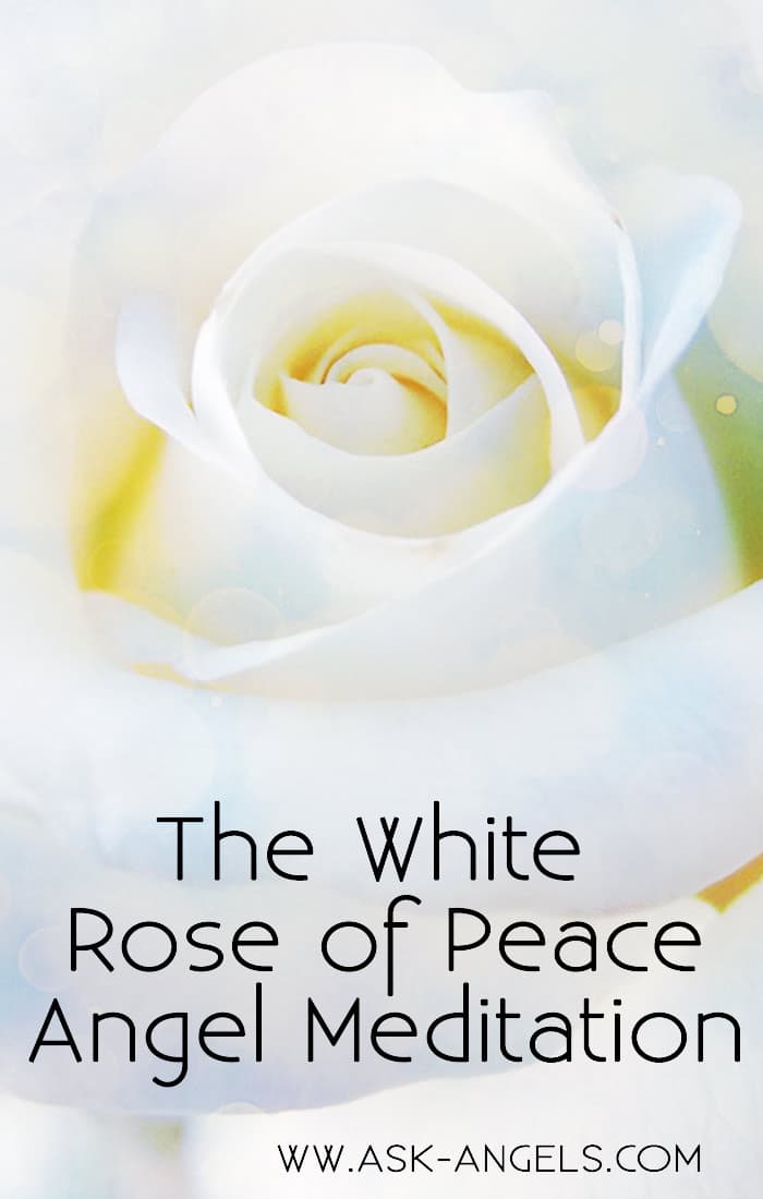 White Rose of Peace Meditation
