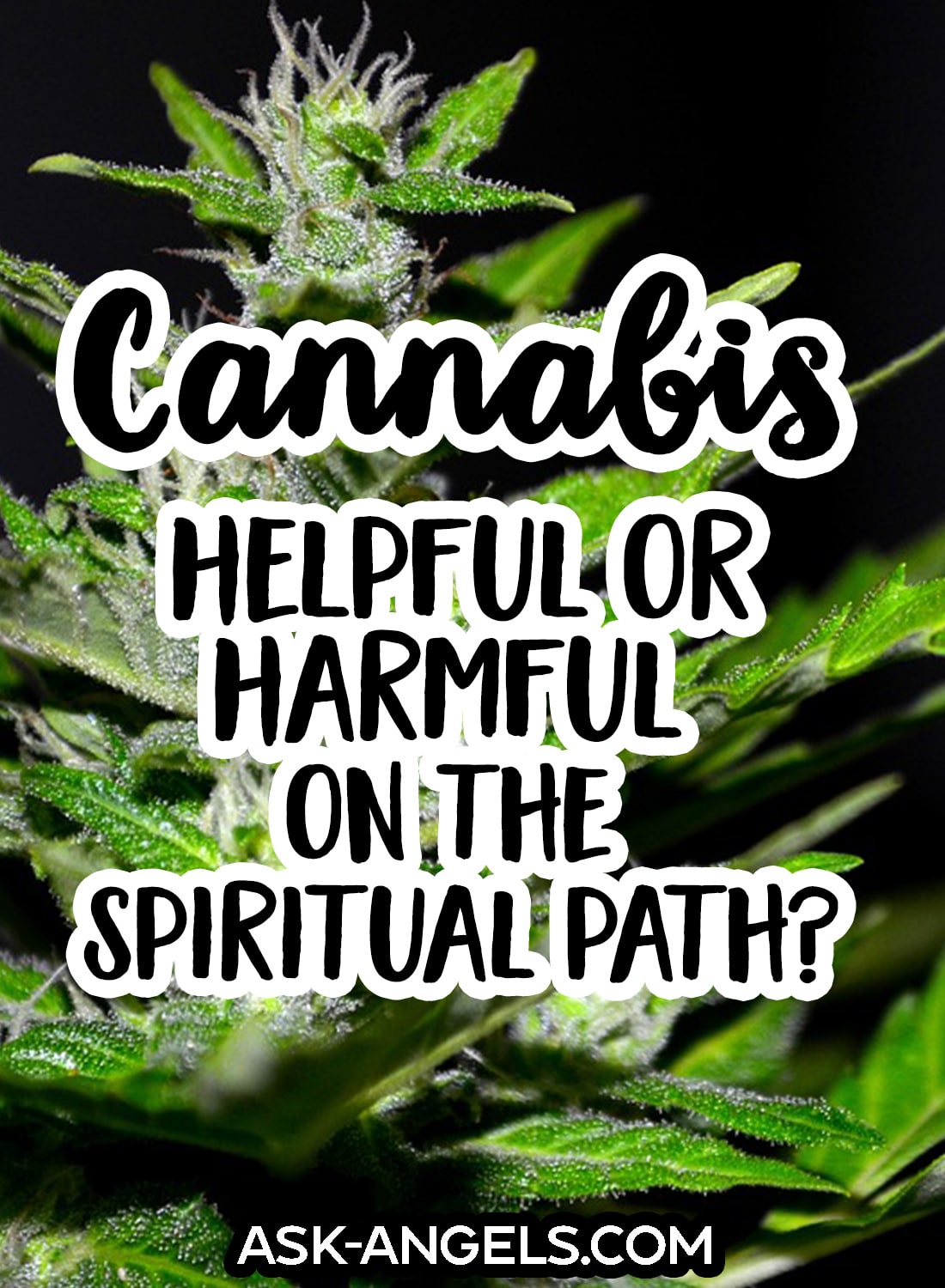 Cannabis and Spirituality. Helpful or Harmful?