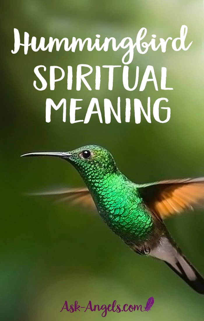 Hummingbird Spiritual Meaning