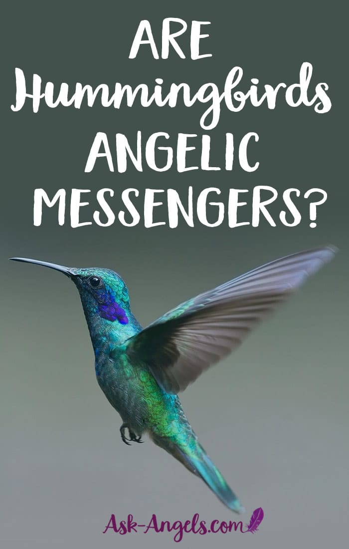 Hummingbird Messengers