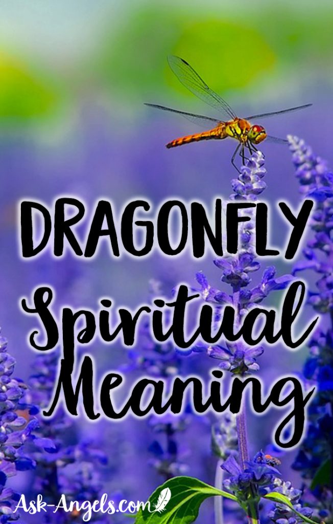 What Is A Dragonfly Mean Spiritually