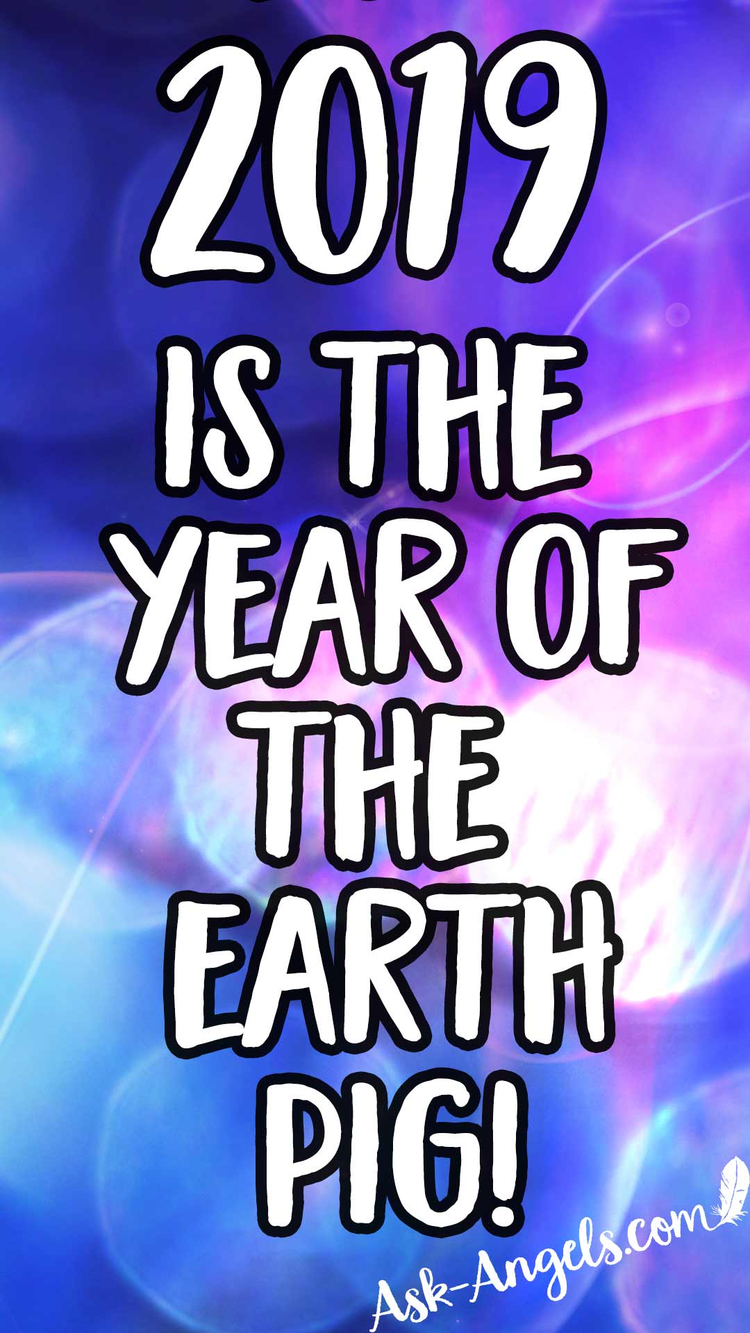 2019 Is the Year of the Earth Pig