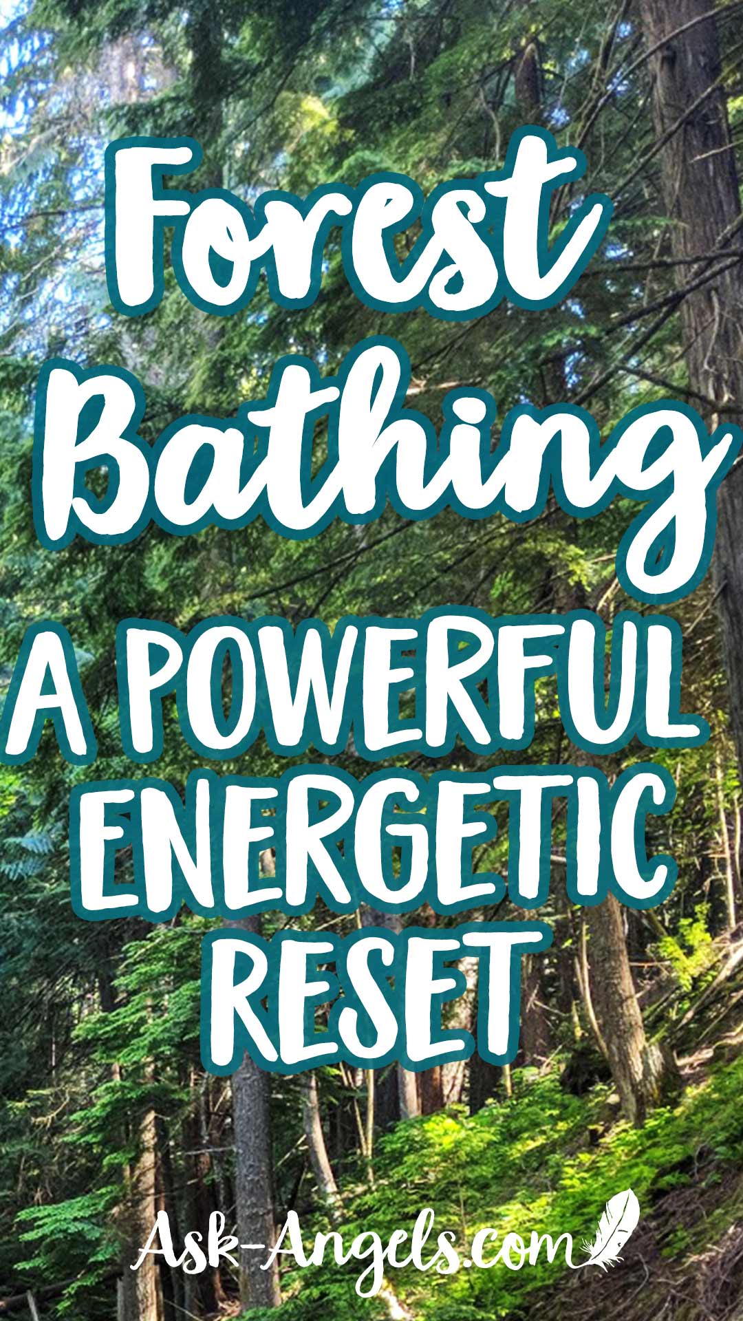 Forest Bathing – A Powerful Energetic Reset!