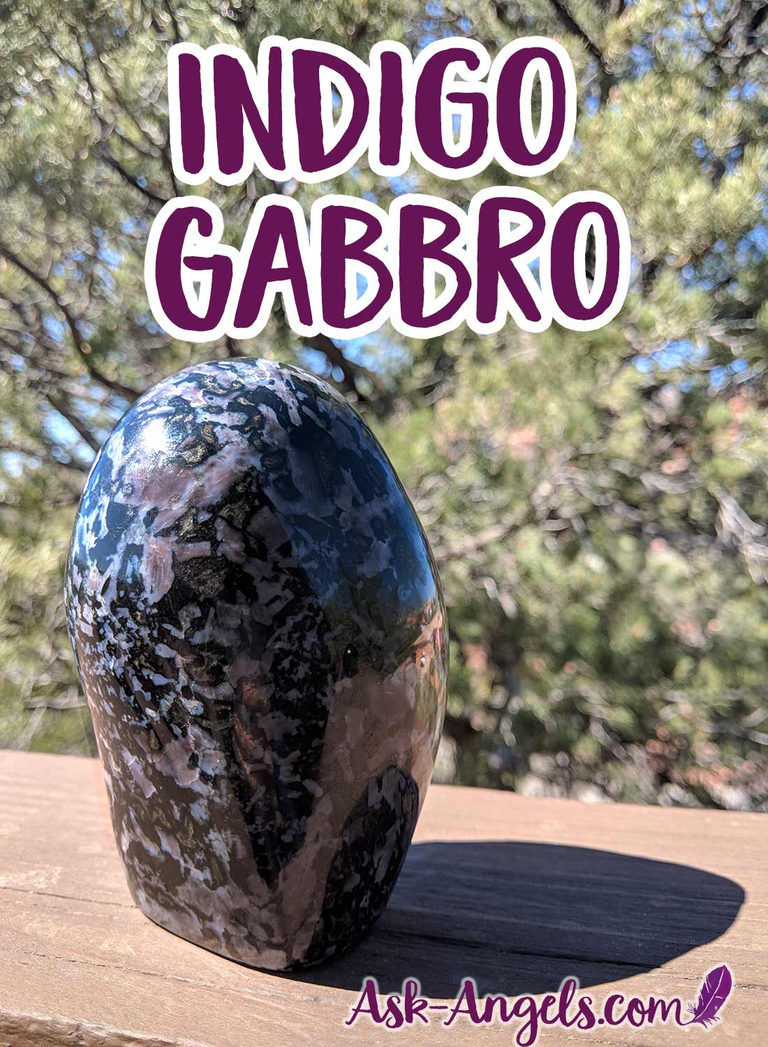 Indigo Gabbro - Crystals for Protection