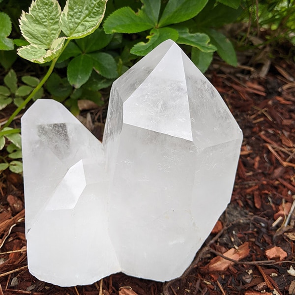 Clear Quartz Crystals in the Garden
