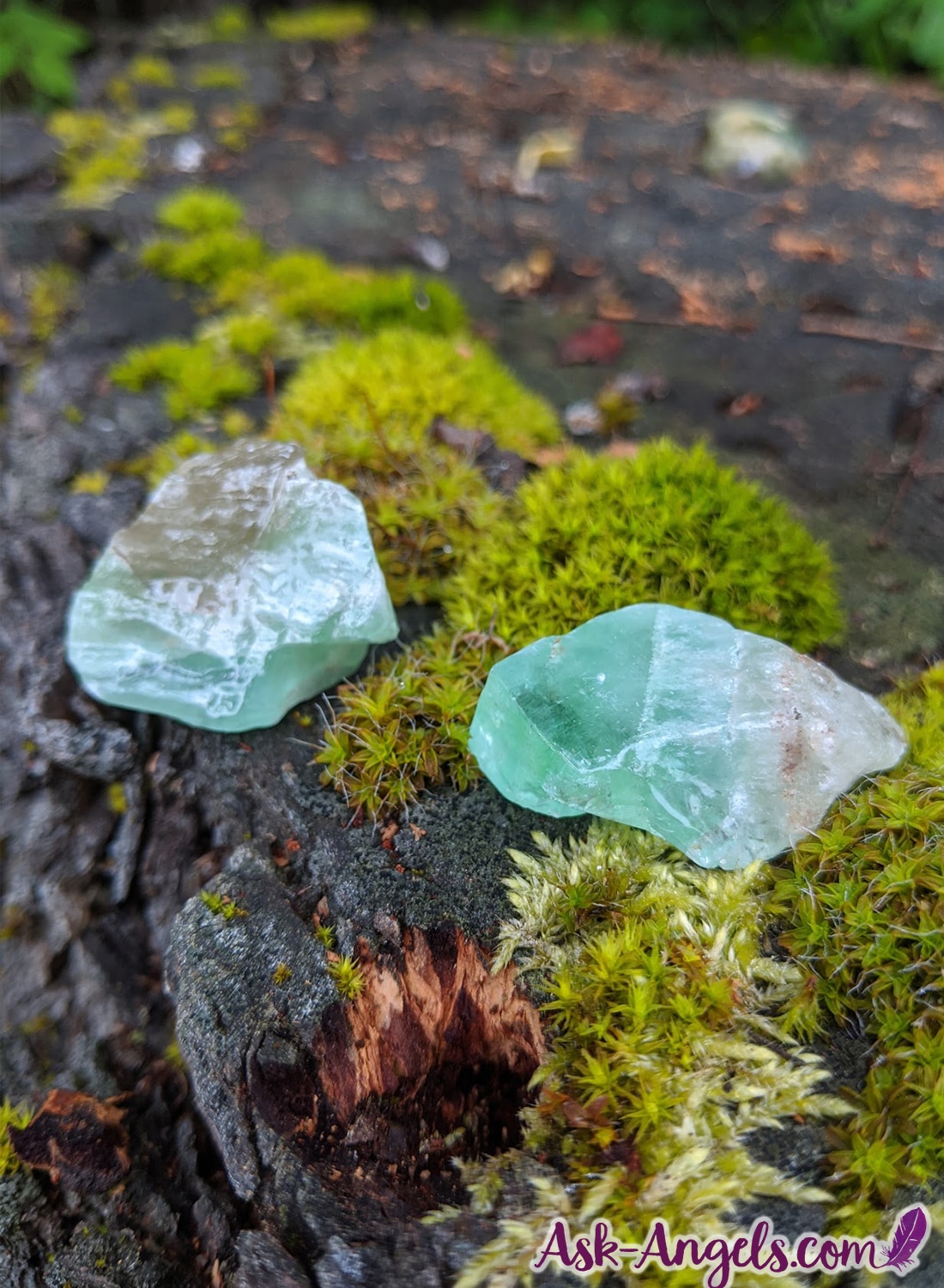 Green Calcite Crystal in the Garden
