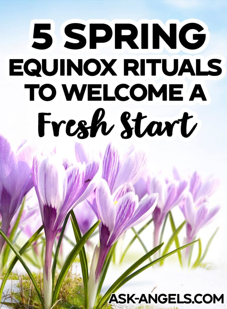 5 Spring Equinox Rituals Celebrate the Start of Spring!