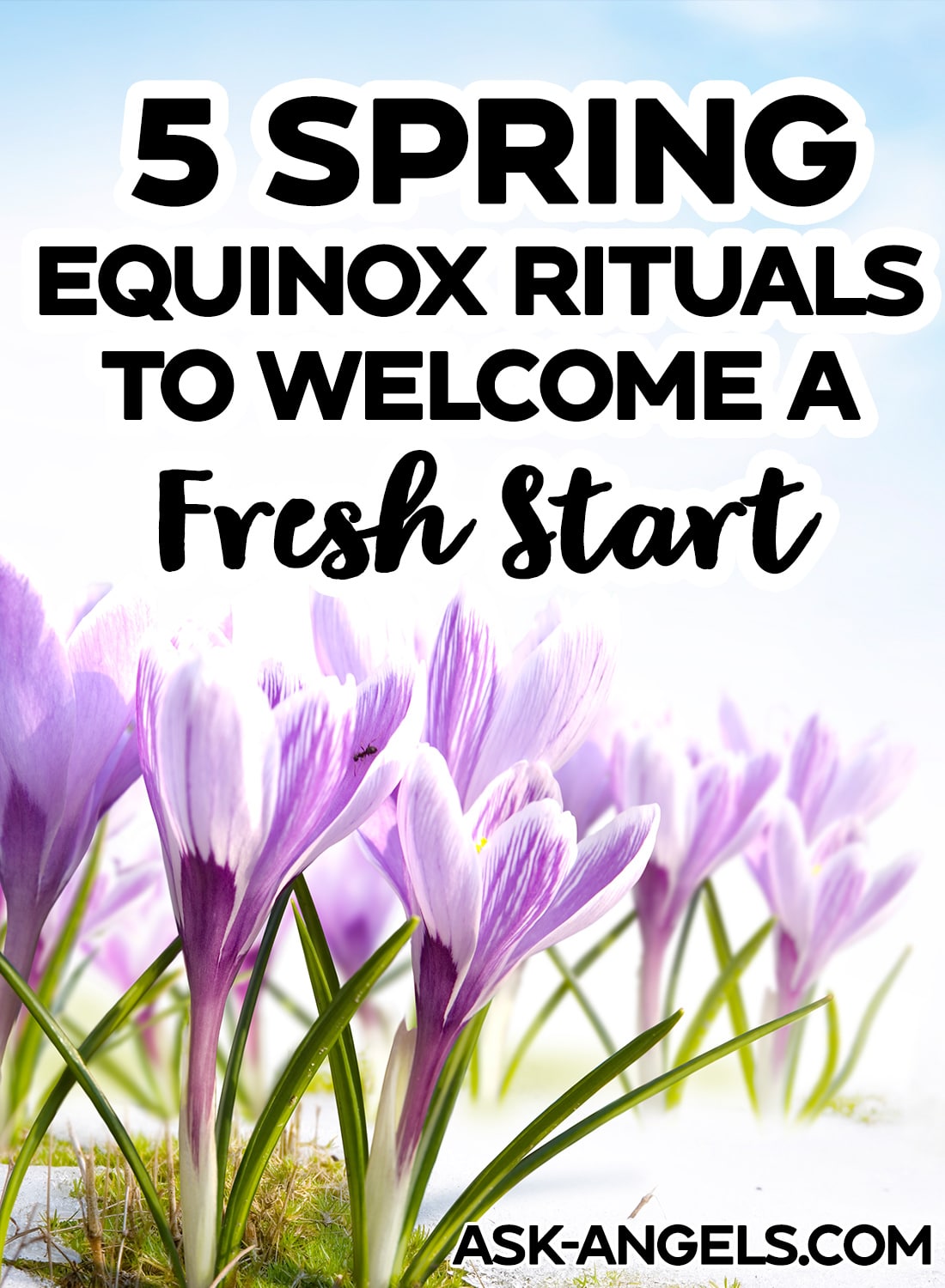 5 Spring Equinox Rituals to Welcome a Fresh Start