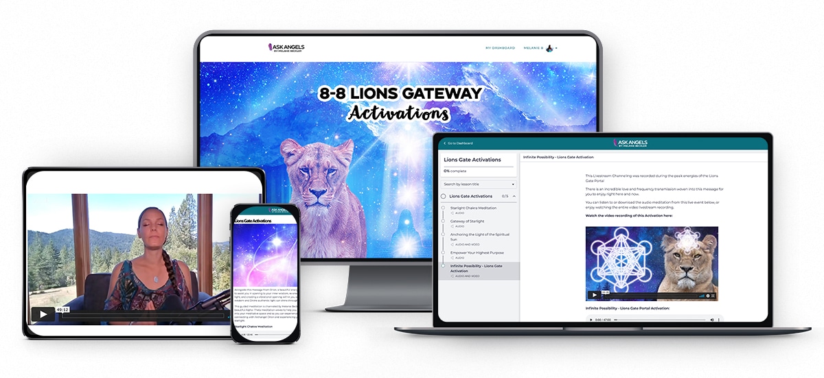 The Lions Gateway Activations