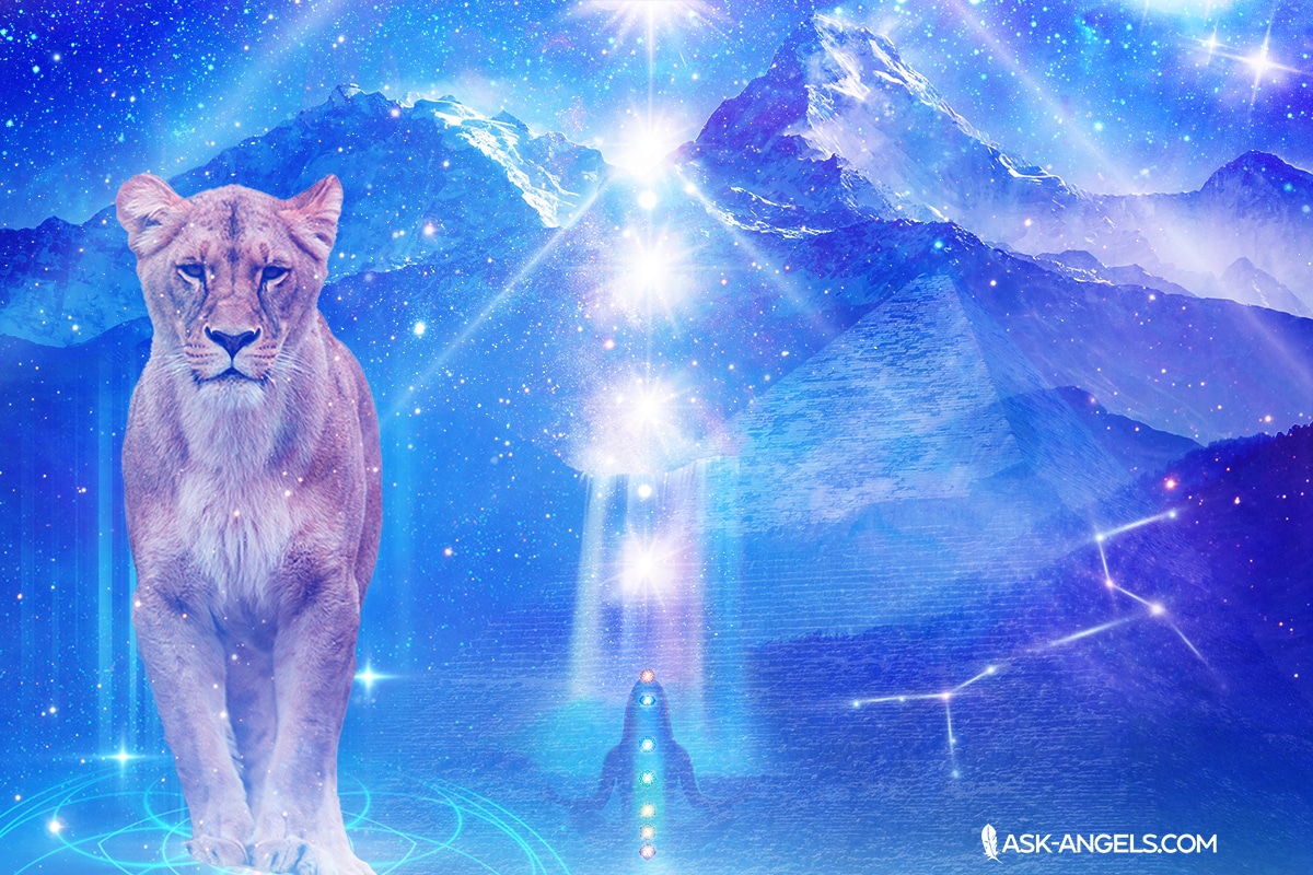 What is the Lions Gate Portal 8/8/2023 Activation?