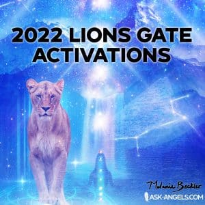 2022 Lions Gate Activations